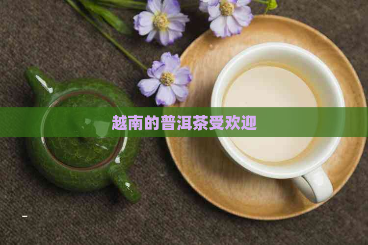 越南的普洱茶受欢迎