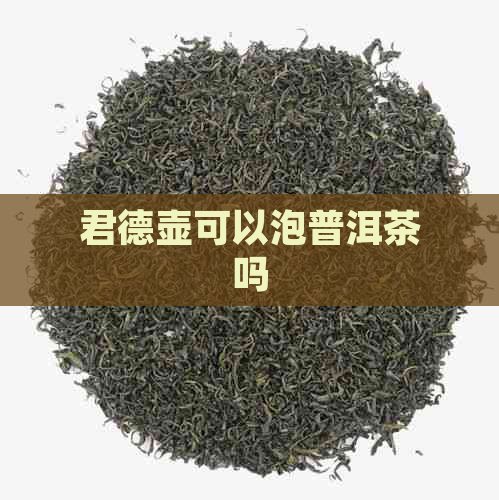 君德壶可以泡普洱茶吗