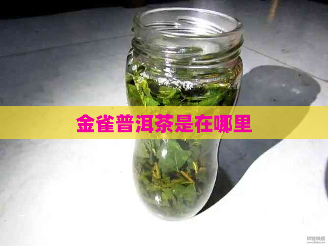 金雀普洱茶是在哪里