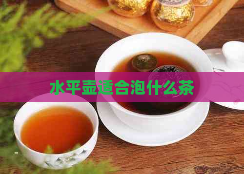 水平壶适合泡什么茶