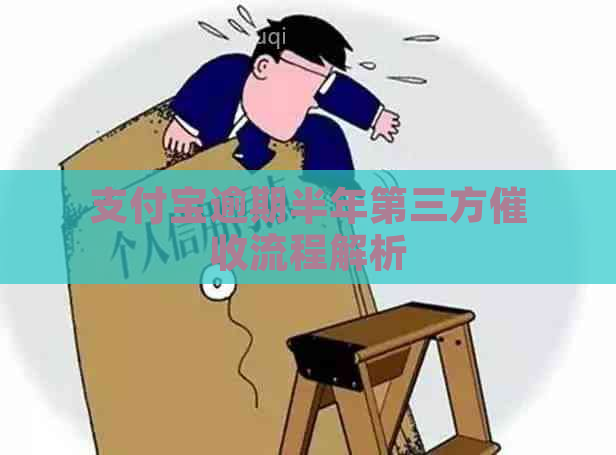 支付宝逾期半年第三方流程解析