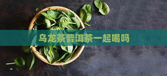 乌龙茶普洱茶一起喝吗