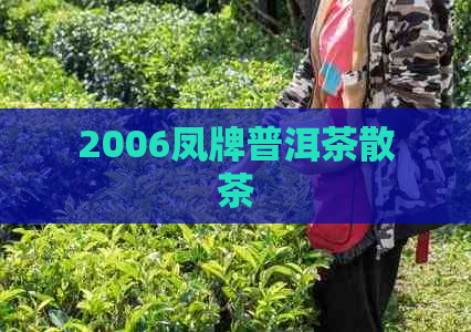 2006凤牌普洱茶散茶