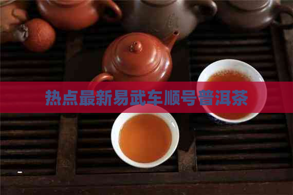 热点最新易武车顺号普洱茶