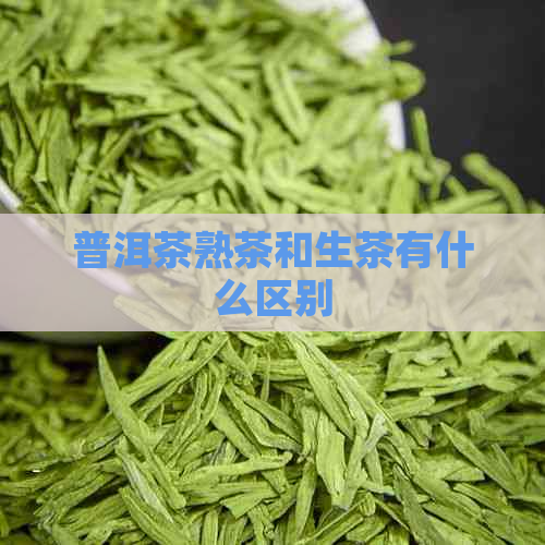 普洱茶熟茶和生茶有什么区别