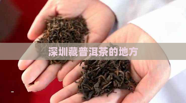 深圳藏普洱茶的地方