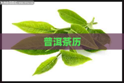 普洱茶历