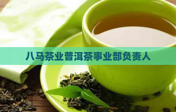 八马茶业普洱茶事业部负责人