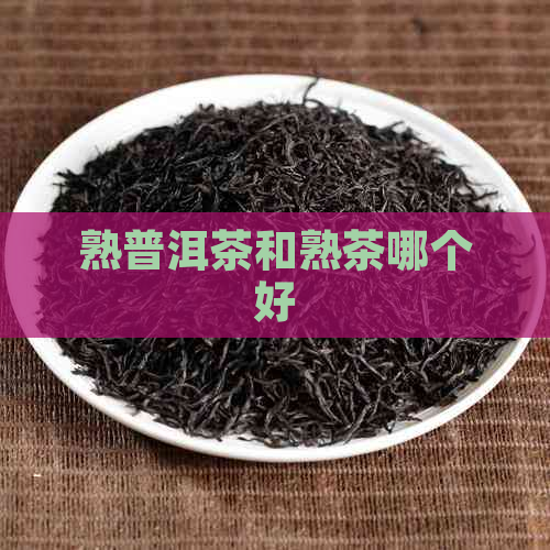 熟普洱茶和熟茶哪个好