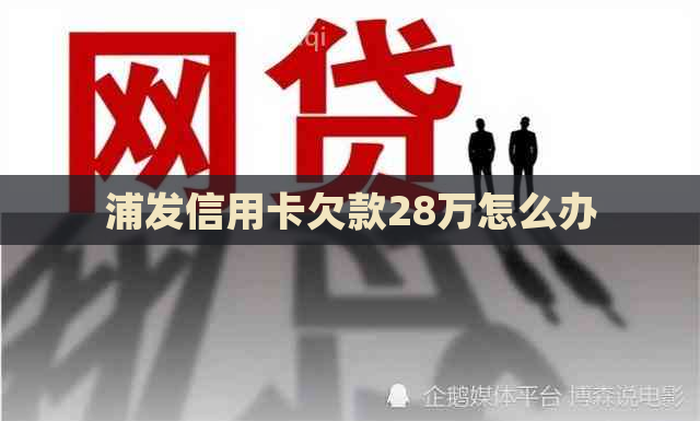 浦发信用卡欠款28万怎么办