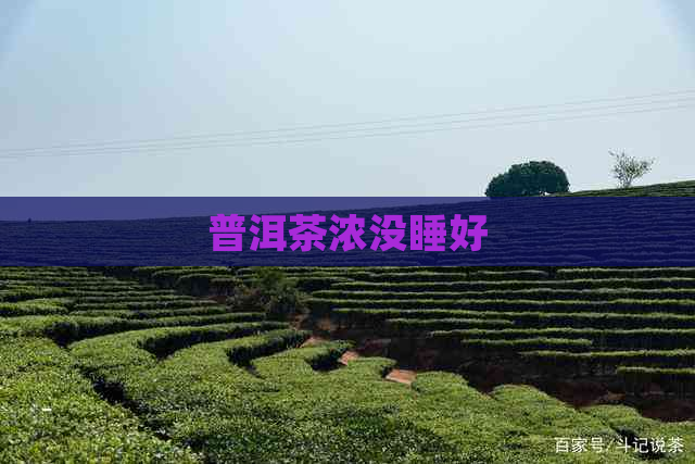 普洱茶浓没睡好