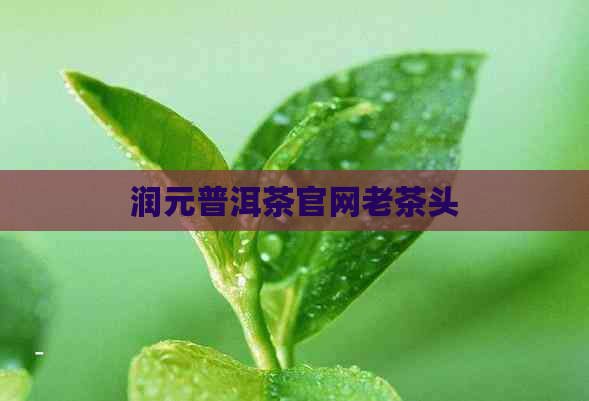 润元普洱茶官网老茶头