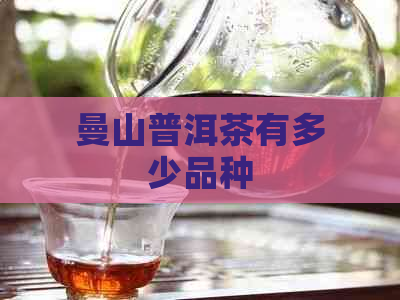 曼山普洱茶有多少品种