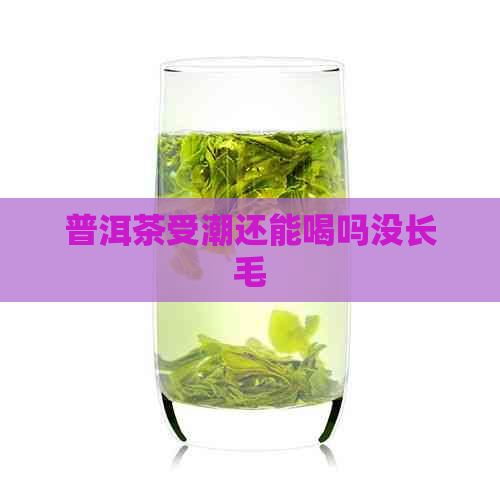 普洱茶受潮还能喝吗没长毛