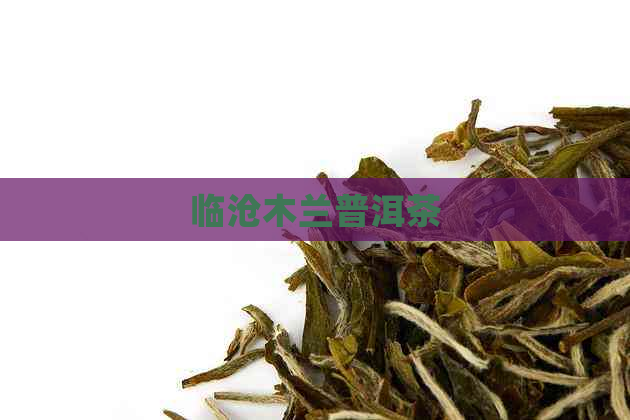 临沧木兰普洱茶