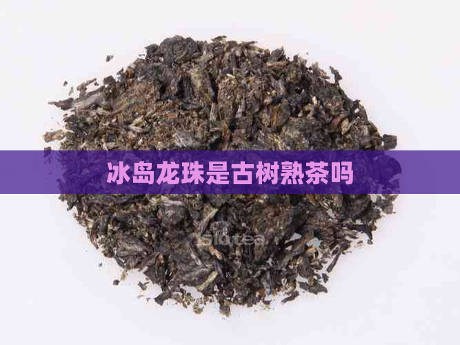 冰岛龙珠是古树熟茶吗