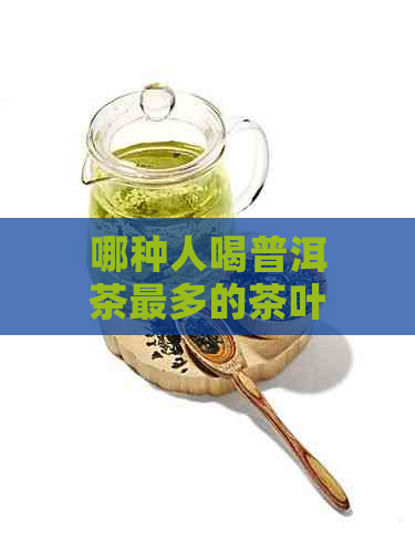 哪种人喝普洱茶最多的茶叶