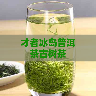 才者冰岛普洱茶古树茶