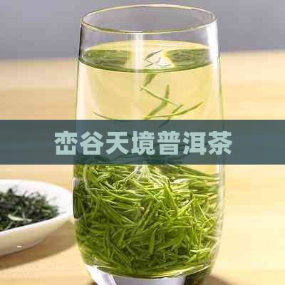 峦谷天境普洱茶