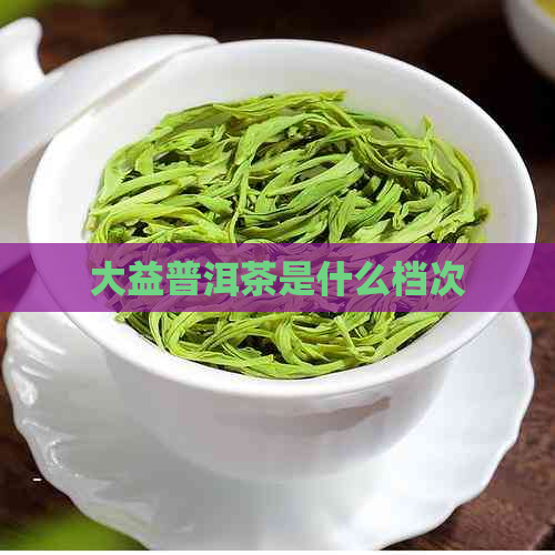 大益普洱茶是什么档次