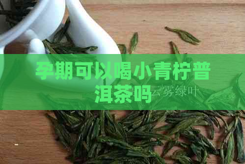 孕期可以喝小青柠普洱茶吗