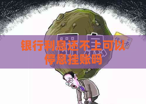 银行利息还不上可以停息挂账吗