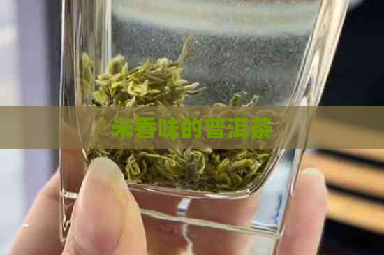 米香味的普洱茶