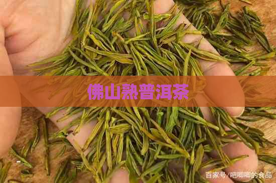 佛山熟普洱茶