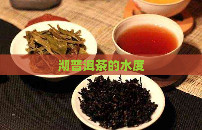 沏普洱茶的水度