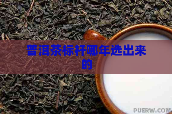 普洱茶标杆哪年选出来的