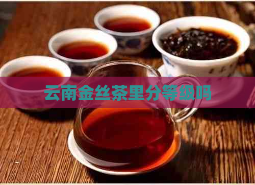 云南金丝茶里分等级吗