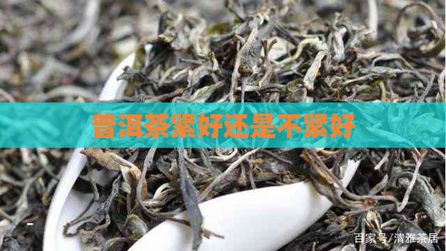 普洱茶紧好还是不紧好