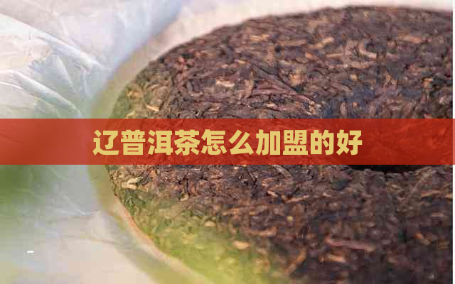 辽普洱茶怎么加盟的好