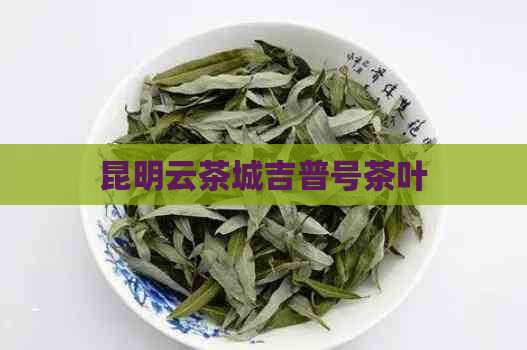 昆明云茶城吉普号茶叶