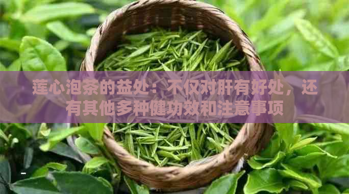 莲心泡茶的益处：不仅对肝有好处，还有其他多种健功效和注意事项