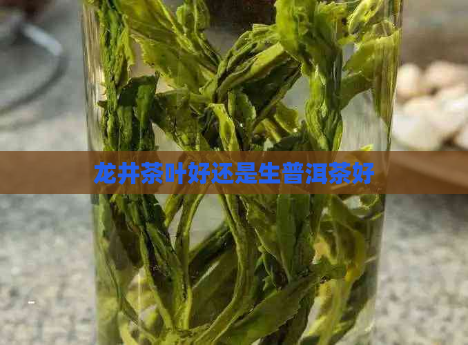 龙井茶叶好还是生普洱茶好