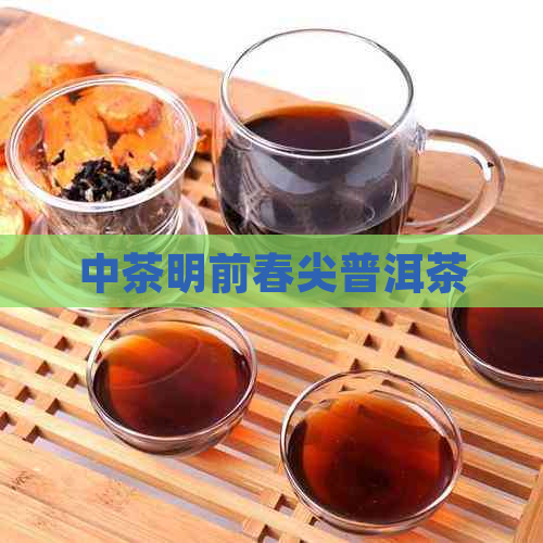 中茶明前春尖普洱茶