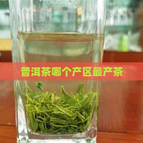 普洱茶哪个产区最产茶