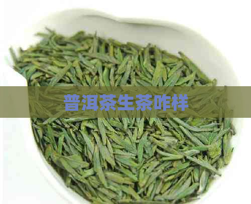 普洱茶生茶咋样