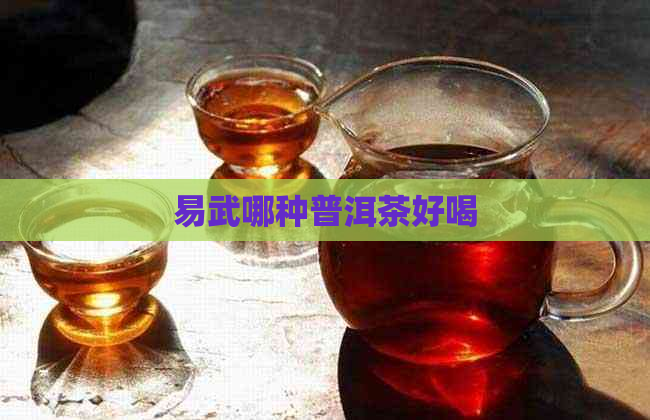 易武哪种普洱茶好喝