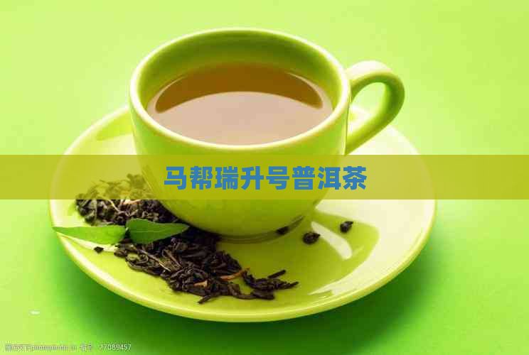 马帮瑞升号普洱茶