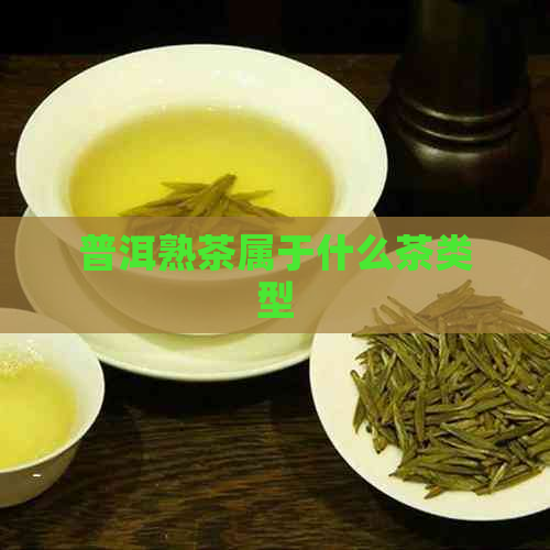 普洱熟茶属于什么茶类型