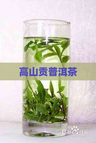 高山贡普洱茶