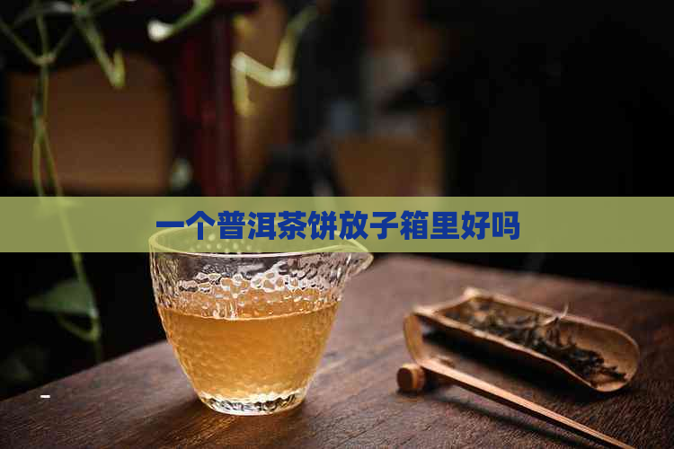 一个普洱茶饼放子箱里好吗