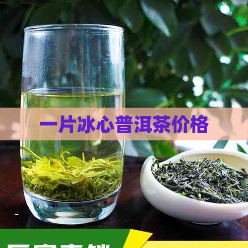 一片冰心普洱茶价格