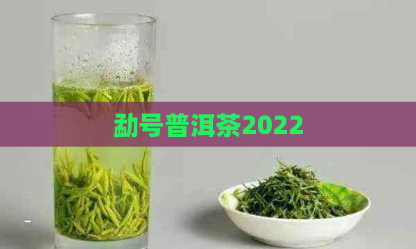 勐号普洱茶2022