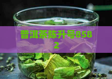 普洱茶陈升号8582