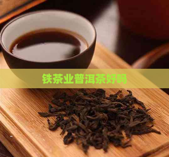 铁茶业普洱茶好吗