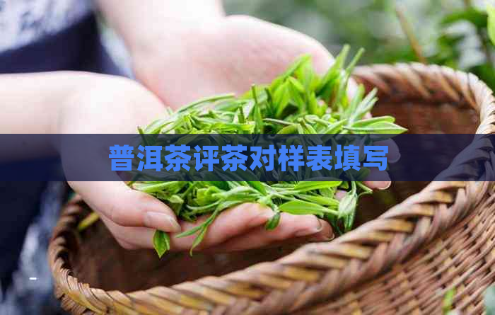 普洱茶评茶对样表填写