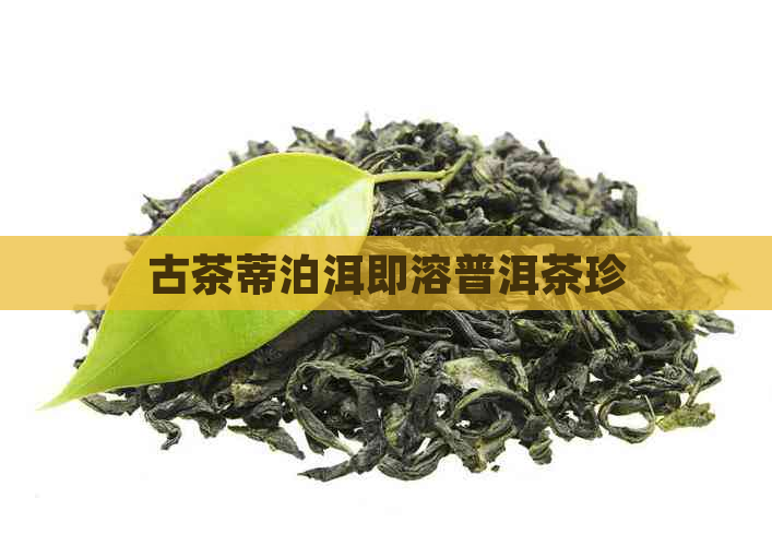 古茶蒂泊洱即溶普洱茶珍